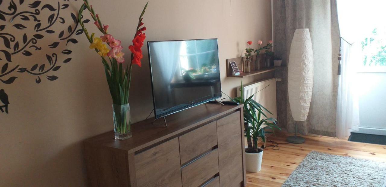 Apartamenty Przy Farze คาชิเมียร์ซ ดอลนี ภายนอก รูปภาพ